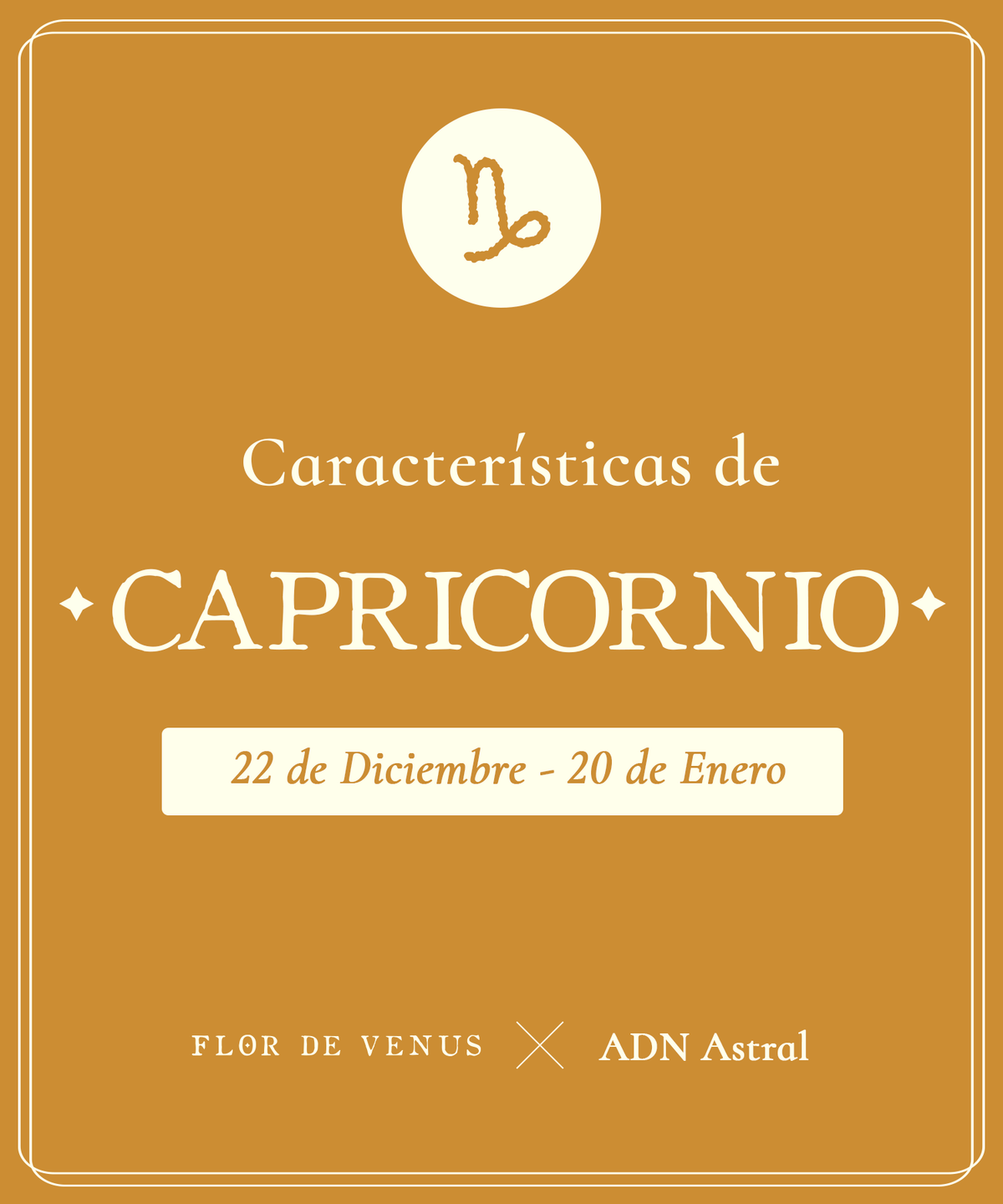 Características Capricornio ♑️